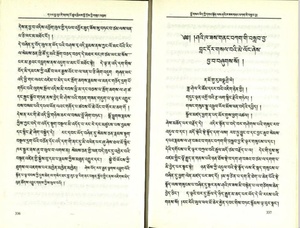 Sha kha zas gnang bkag gi bslab bya.pdf